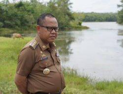 Terdampak El Nino, 164 ha Sawah di Kabupaten Mesuji Terancam Gagal Panen