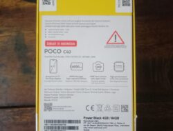 BR (18) Ditangkap Polisi Polres Mesuji Akibat Mencuri Handphone