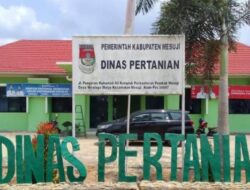 Bantuan Sapi Kelompok Tani Margomulyo Diduga Ada Kongkalikong