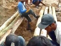 Masyarakat Adat Buay Mencurung Gotong Royong Bangun jembatan