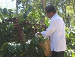 Danrem 043/Gatam Bersama Pangdam II/Sriwijaya Amankan Kunjungan Presiden RI Joko Widodo, Di Kabupaten Lampung Barat Dan Tanggamus