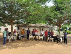 DD Tiyuh Tirta Kencana Tubaba Diprioritaskan Untuk Insfastruktur Dan Kesejahteraan Masyarakat