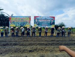 Jajaran Polres Mesuji,Pemkab Mesuji,PT.SIP Gelar Program Menanam Jagung 1 Hektar