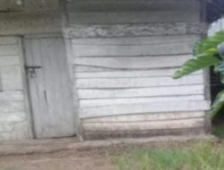 Skandal Manipulasi Data Petani di Tulang Bawang: Penegak Hukum Diam, Mafia Subsidi Tertawa