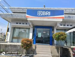 BRI Mangkir Tanpa Kejelasan Panggilan Pemeriksaan Penyidik Polres Tanggamus Kasus Supriono