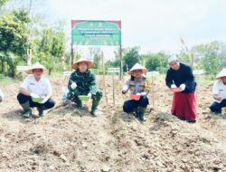 Polres Mesuji Bersama Forkopimda, TNI Dan Pihak Pondok Pesantren Al- Ghazali Melaksanakan Penanaman Jagung Serentak