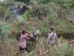 Jajaran Sat Samapta Polres Mesuji Bersama Karyawan Serta Warga Desa Tanjung Sari,Kagungan Dalam Memadamkan Api Kebakaran Lahan HGU Milik PT. BSMI Di Blok S dan T 39, 30, 31, 32, 33, 34, 35, 36