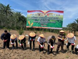 Polres Mesuji melaksanakan Penanaman Jagung Serentak Kuartal IV dan Peresmian Gudang Ketahanan Pangan