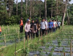 Eva Dwiana Turun ke Lapangan: Banjir Sukabumi, Sukarame Diurai dari Akar Masalah