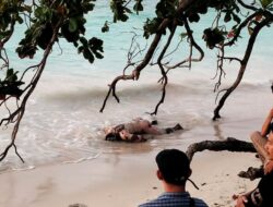 Masyarakat Kabupaten Pesisir Barat Digegerkan Oleh Serangkaian Penemuan Mayat Diwilayah Pesisir