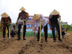 Polres Mesuji Melaksanakan Penanaman Jagung Serentak Kuartal I Tahun 2026 di Desa Jaya Sakti