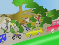 Data BPBD: Pohon Tumbang di Bandar Lampung Capai Ratusan Kasus sejak 2025